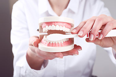 The image shows a person holding up a dental model with a focus on teeth alignment, likely for educational or promotional purposes related to orthodontics.